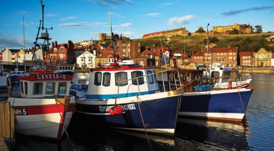 banner-whitby-harbour-2